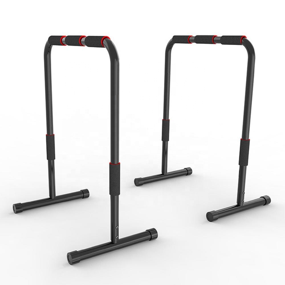 Home Gym Equipment Lebert Equa - Gymnastic Bar Home review and price