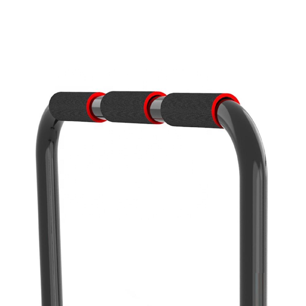 Home Gym Equipment Lebert Equa - Gymnastic Bar Home review and price