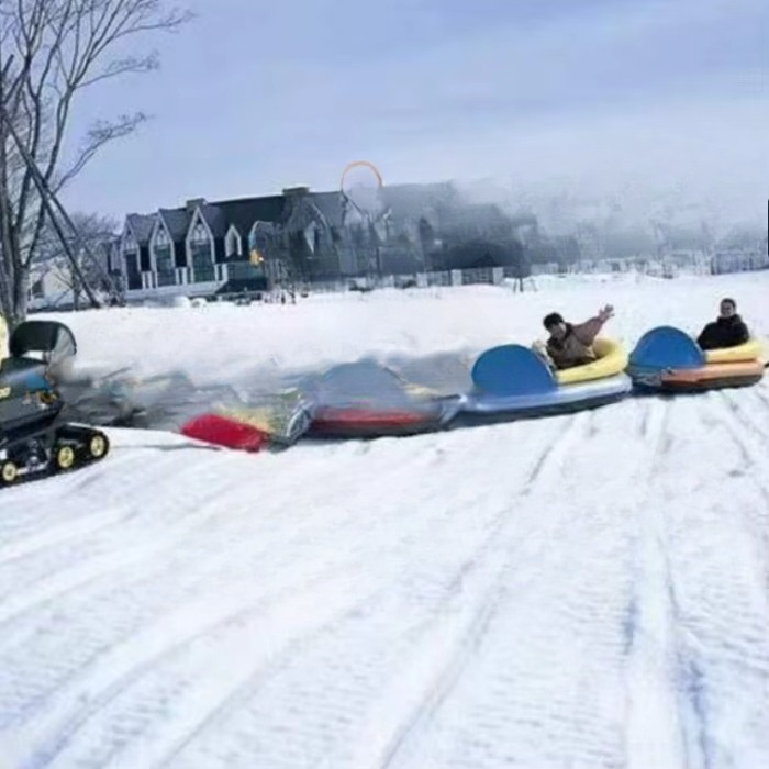 Towable Inflatable Snow Tube a - Outdoor Sports Activities review and price